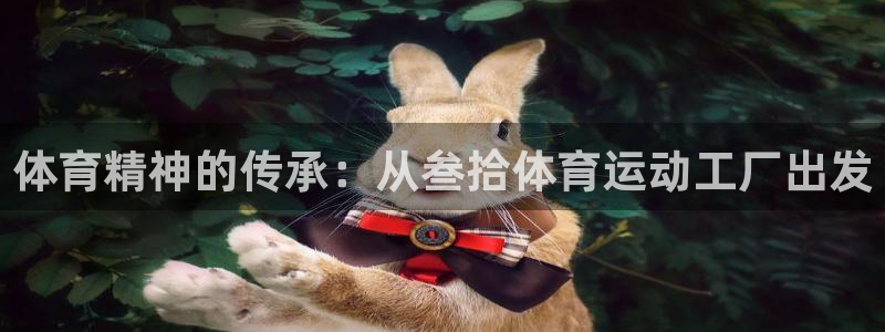 风速体育nba直播