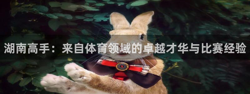 风速体育官网
