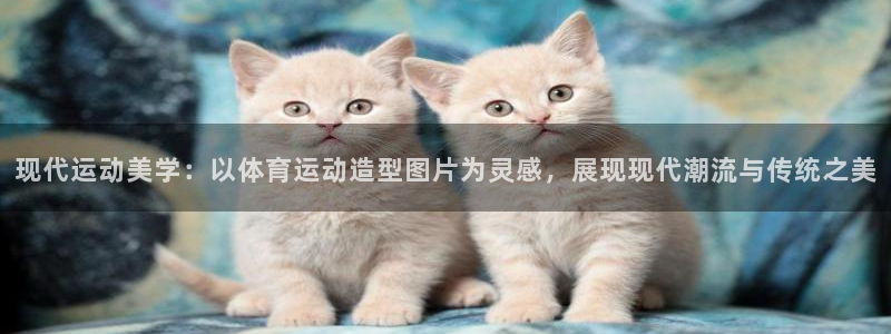 风速体育cba直播
