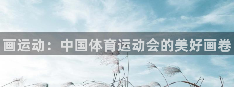 风速体育直播app