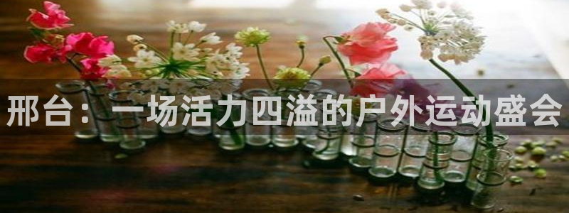 下载风速体育