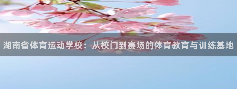 风速体育下载