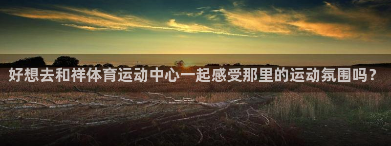 风速体育直播