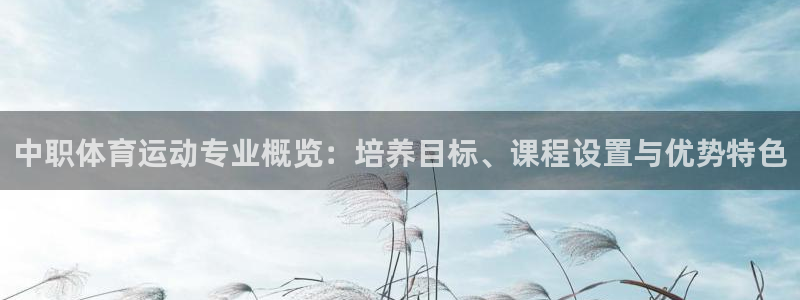 风速体育