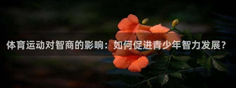 风速体育下载