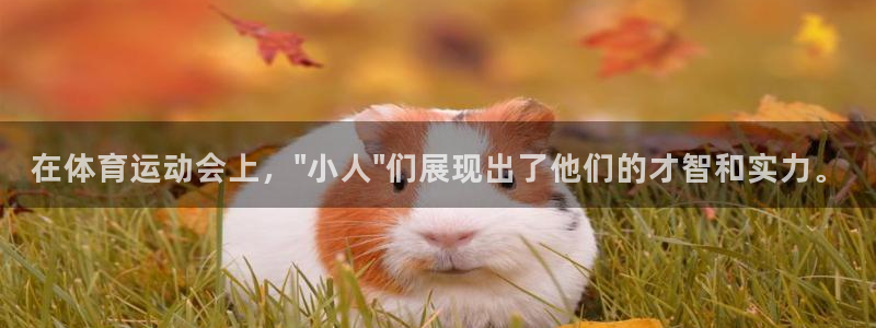 风速体育下载