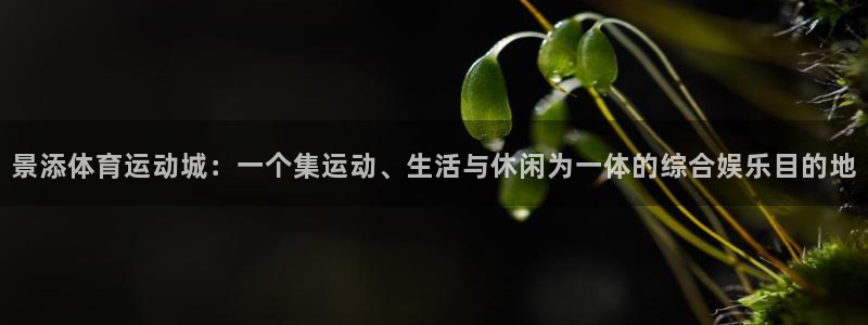 风速体育