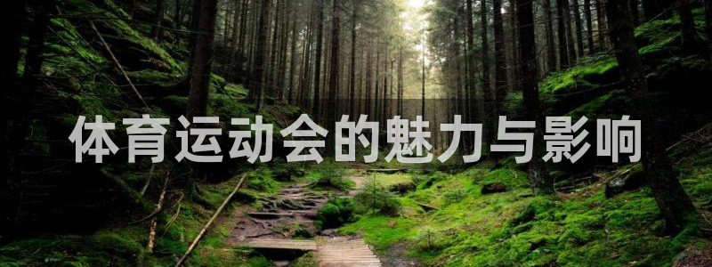 风速体育直播