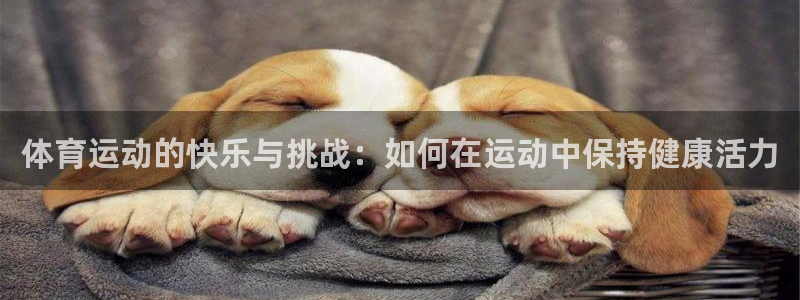 风速体育